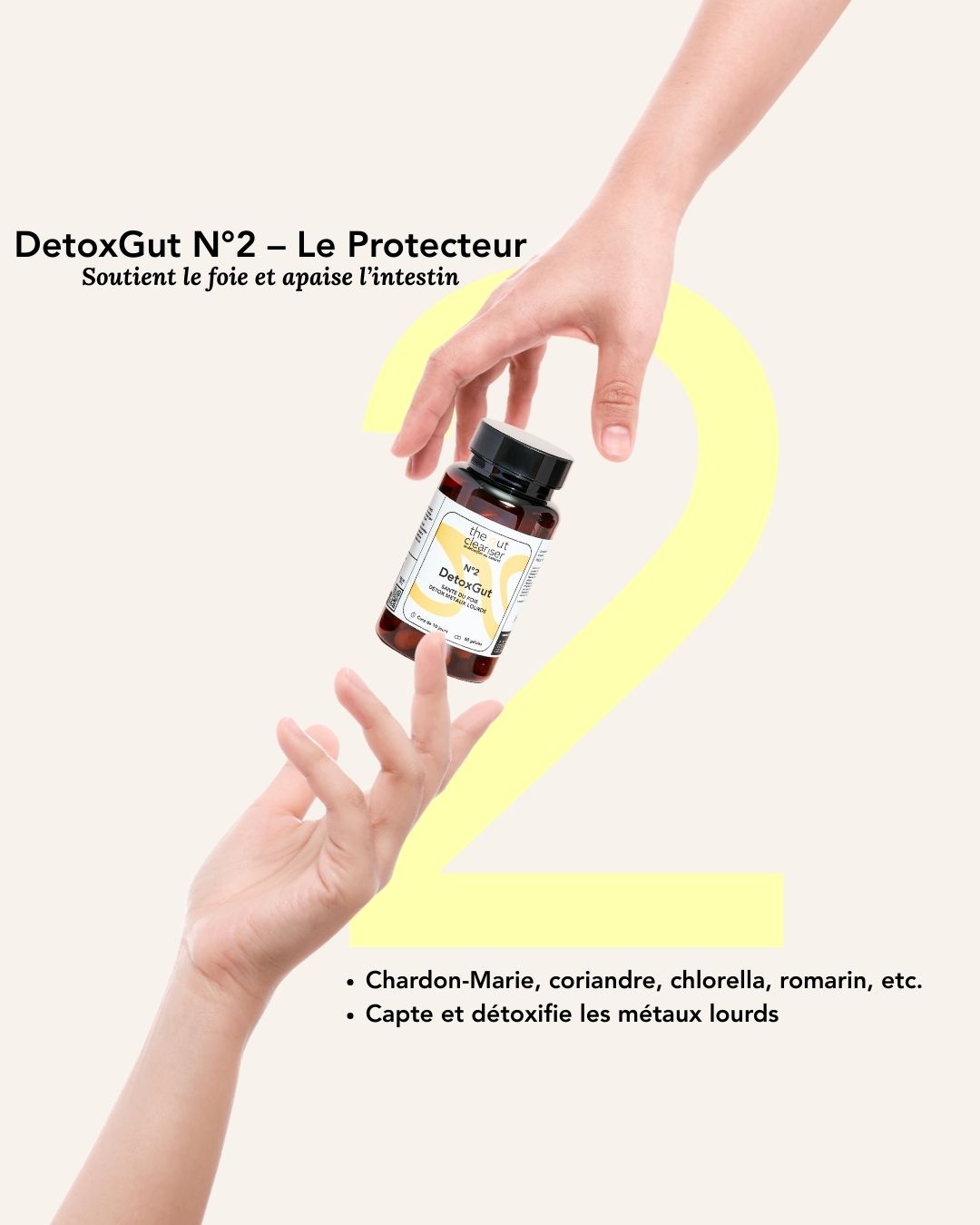 Cure détoxifiante naturelle antiparasitaire